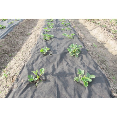 Textilie TKANÁ 1,6 m x 10 m ( 70 g / m2 ) černá
