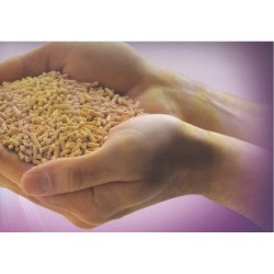 AXCELERA - C (12,5 kg)